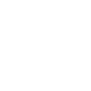 Icone Rapidez Tempo Branco