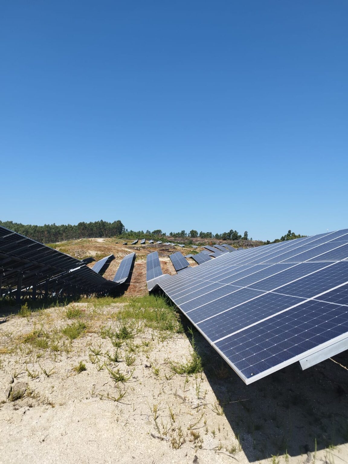 Painel Solar Primeiro Plano Campo